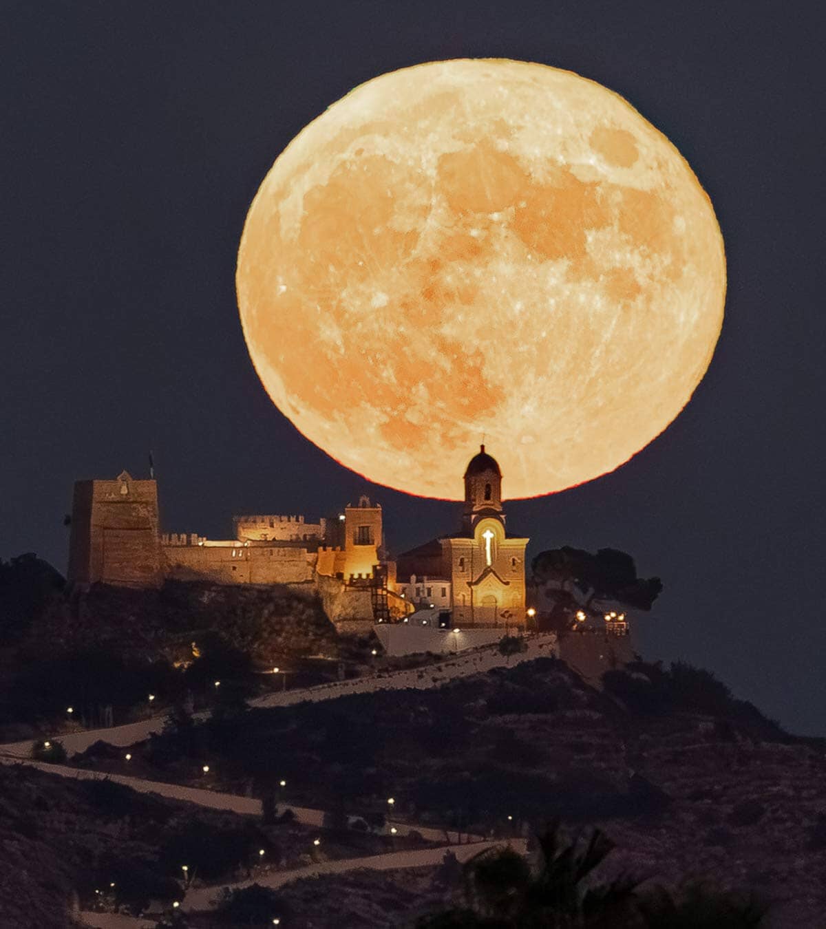 Immagine prodotto 8